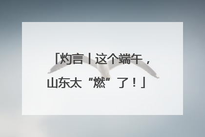 灼言丨这个端午，山东太“燃”了！