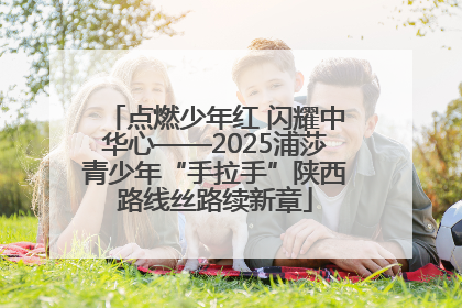 点燃少年红 闪耀中华心——2025浦莎青少年“手拉手”陕西路线丝路续新章