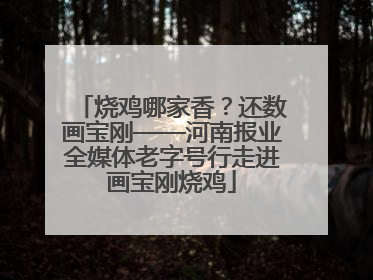 烧鸡哪家香？还数画宝刚——河南报业全媒体老字号行走进画宝刚烧鸡