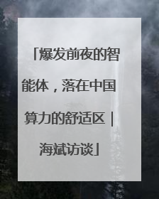爆发前夜的智能体，落在中国算力的舒适区｜海斌访谈