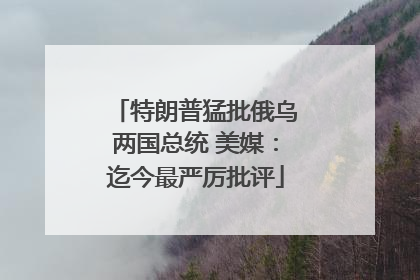 特朗普猛批俄乌两国总统 美媒：迄今最严厉批评