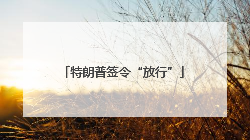特朗普签令“放行”