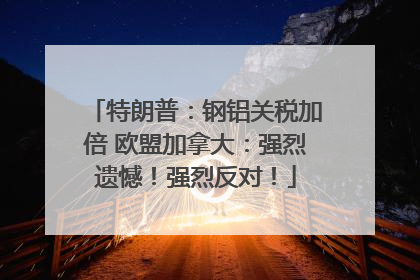 特朗普：钢铝关税加倍 欧盟加拿大：强烈遗憾！强烈反对！