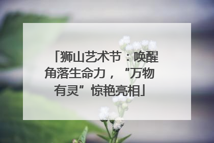狮山艺术节：唤醒角落生命力，“万物有灵”惊艳亮相