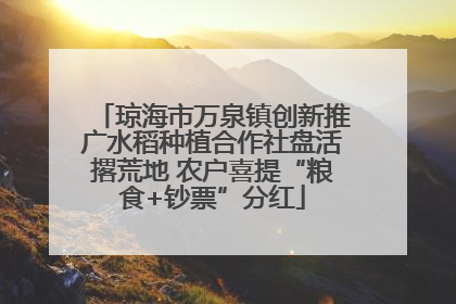 琼海市万泉镇创新推广水稻种植合作社盘活撂荒地 农户喜提“粮食+钞票”分红