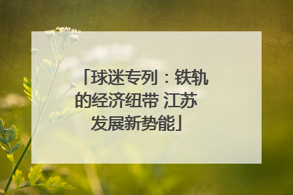 球迷专列：铁轨的经济纽带 江苏发展新势能