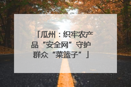 瓜州：织牢农产品“安全网”守护群众“菜篮子”