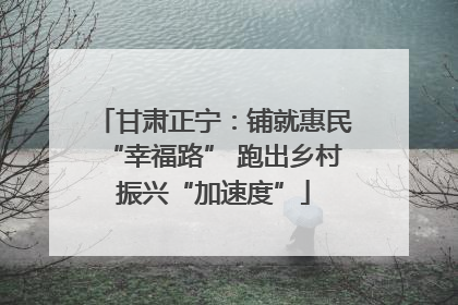 甘肃正宁：铺就惠民“幸福路” 跑出乡村振兴“加速度”