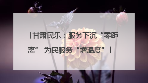 甘肃民乐：服务下沉“零距离” 为民服务“增温度”