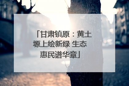 甘肃镇原：黄土塬上绘新绿 生态惠民谱华章