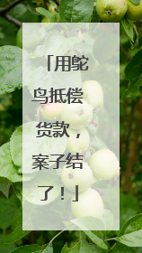 用鸵鸟抵偿货款，案子结了！