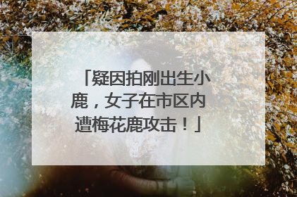 疑因拍刚出生小鹿，女子在市区内遭梅花鹿攻击！