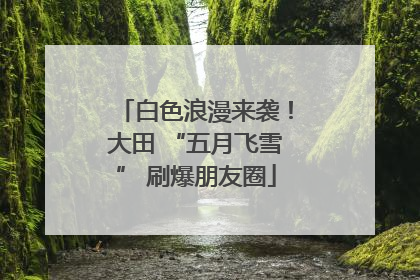 白色浪漫来袭！大田 “五月飞雪” 刷爆朋友圈