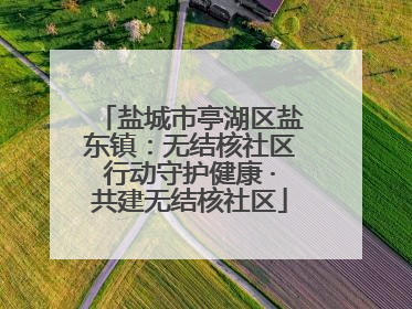 盐城市亭湖区盐东镇：无结核社区行动守护健康 ·共建无结核社区