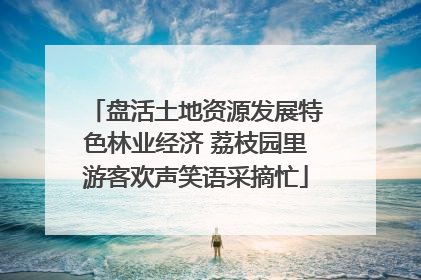 盘活土地资源发展特色林业经济 荔枝园里游客欢声笑语采摘忙