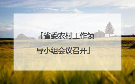 省委农村工作领导小组会议召开