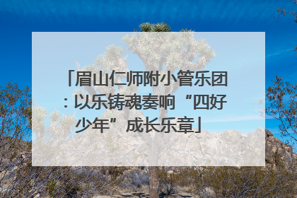 眉山仁师附小管乐团：以乐铸魂奏响“四好少年”成长乐章