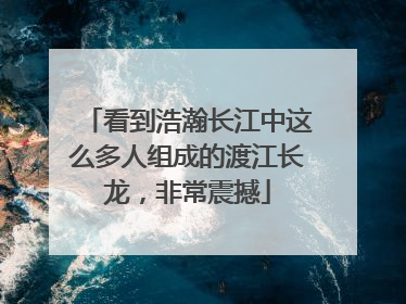 看到浩瀚长江中这么多人组成的渡江长龙，非常震撼