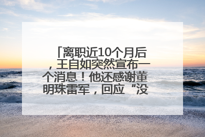 离职近10个月后，王自如突然宣布一个消息！他还感谢董明珠雷军，回应“没看过格力工资条”：真的不那么重要！