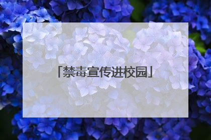 禁毒宣传进校园
