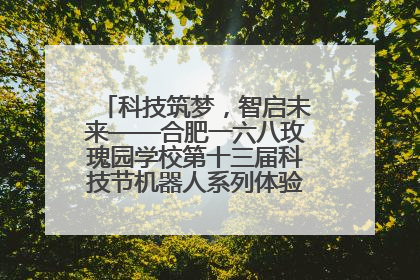 科技筑梦，智启未来——合肥一六八玫瑰园学校第十三届科技节机器人系列体验赛燃动校园