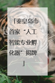 秦皇岛市首家“人工智能专业孵化器”揭牌