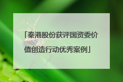 秦港股份获评国资委价值创造行动优秀案例