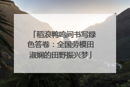稻浪鸭鸣间书写绿色答卷：全国劳模田淑娴的田野振兴梦