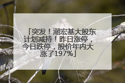 突发！潮宏基大股东计划减持！昨日涨停，今日跌停，股价年内大涨了197%