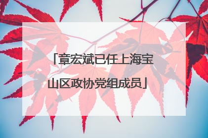 章宏斌已任上海宝山区政协党组成员