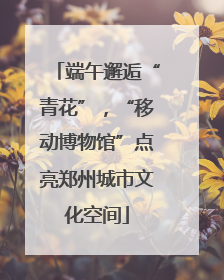 端午邂逅“青花”，“移动博物馆”点亮郑州城市文化空间