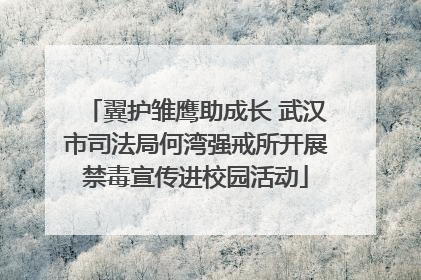 翼护雏鹰助成长 武汉市司法局何湾强戒所开展禁毒宣传进校园活动