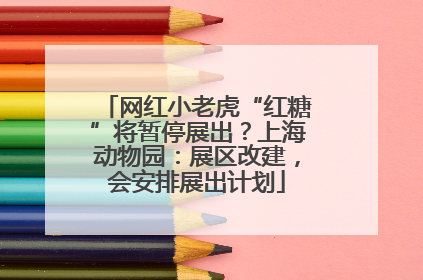 网红小老虎“红糖”将暂停展出？上海动物园：展区改建，会安排展出计划