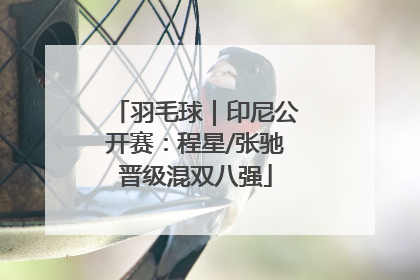 羽毛球｜印尼公开赛：程星/张驰晋级混双八强