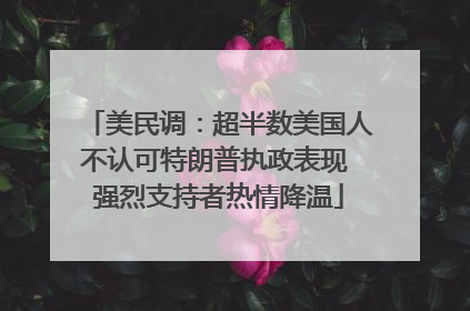 美民调：超半数美国人不认可特朗普执政表现 强烈支持者热情降温