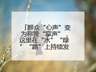 群众“心声”变为称赞“掌声”，这里在“水”“绿”“路”上持续发力，村容村貌焕然一新