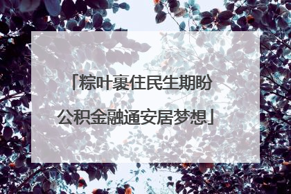 粽叶裹住民生期盼 公积金融通安居梦想