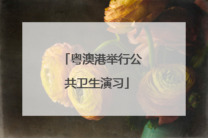 粤澳港举行公共卫生演习