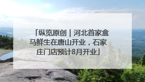 纵览原创｜河北首家盒马鲜生在唐山开业，石家庄门店预计8月开业
