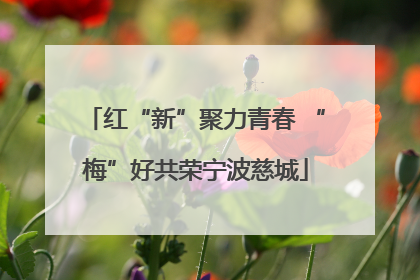 红“新”聚力青春 “梅”好共荣宁波慈城
