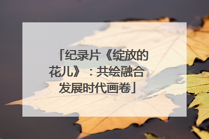 纪录片《绽放的花儿》：共绘融合发展时代画卷