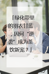 绿化带里的羽衣甘蓝，因何“逆袭”成为茶饮新宠？