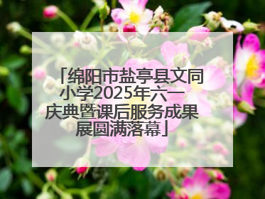 绵阳市盐亭县文同小学2025年六一庆典暨课后服务成果展圆满落幕