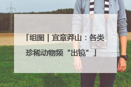 组图｜宜章莽山：各类珍稀动物频“出镜”