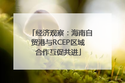 经济观察：海南自贸港与RCEP区域合作互促共进