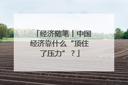 经济随笔丨中国经济靠什么“顶住了压力”？