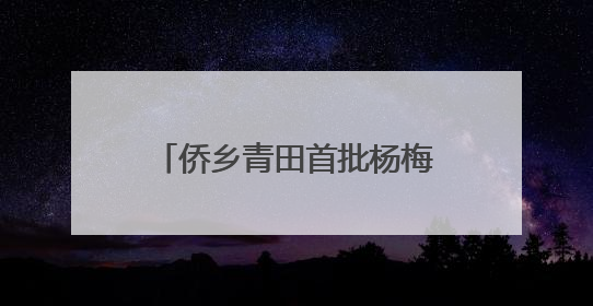 侨乡青田首批杨梅启程新加坡 保鲜提质售出“金果果”