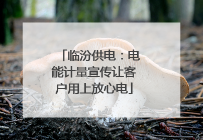 临汾供电：电能计量宣传让客户用上放心电