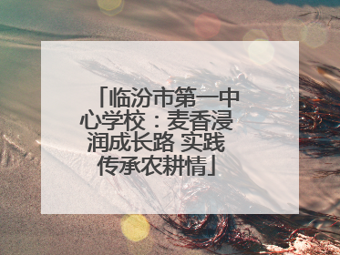 临汾市第一中心学校：麦香浸润成长路 实践传承农耕情