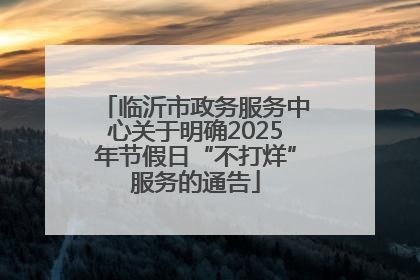 临沂市政务服务中心关于明确2025年节假日“不打烊”服务的通告